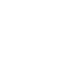 2025 icon