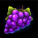 Joker's Wild Crown Symbol 5