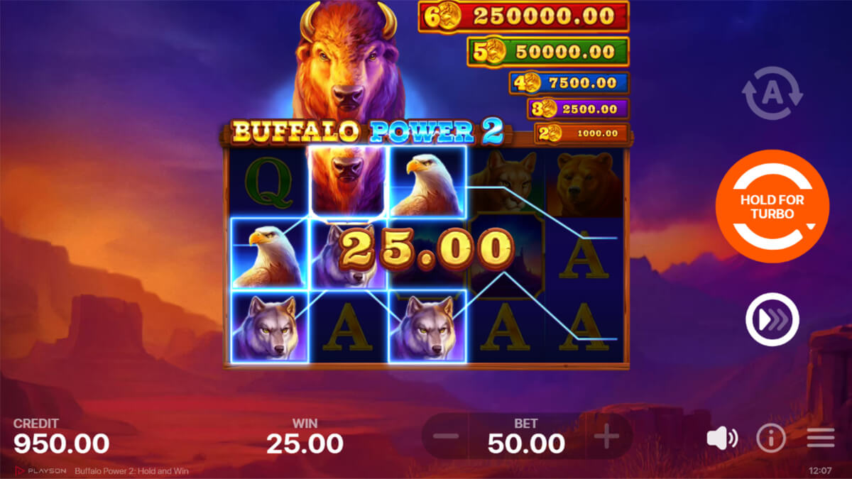 Buffalo Power 2 Hold and Win Win