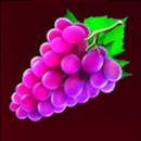 Cash'n Fruits 256 Symbol 3