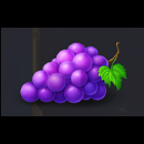 Coin Win 2 Hold the Spin Symbol 5