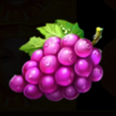 Fruits and Jokers 40 lines Symbol 2