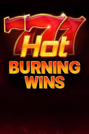 Hot Burning Wins Logo