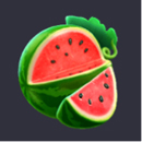 Jungle Delight Symbol 7