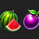 Wild Million Symbol 2