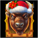 Buffalo Christmas Canyon Symbol 11