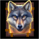 Buffalo Christmas Canyon Symbol 9