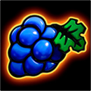 Burning Coins 40 Symbol 5