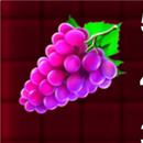 Hot Coins Fortune Symbol 3