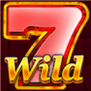 Hot Coins Fortune Symbol 4