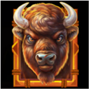 Buffalo Gold Canyon Symbol 11