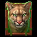 Buffalo Gold Canyon Symbol 8