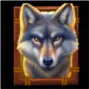 Buffalo Gold Canyon Symbol 9