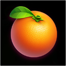 Fortune Wild Symbol 3