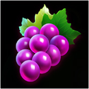 Fortune Wild Symbol 5