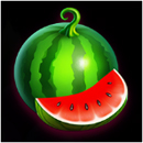 Fortune Wild Symbol 6