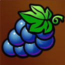 Mega Fortune Hold ‘N’ Win Symbol 4