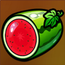 Mega Fortune Hold ‘N’ Win Symbol 5