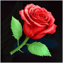 Triple Valentine Symbol 7