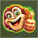 Winflood Amazonia Symbol 6