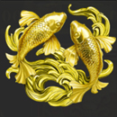 Magic Pearl Symbol 5