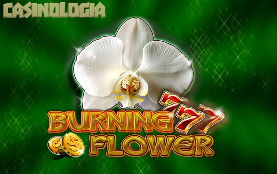 Burning Flower by CT Gaming